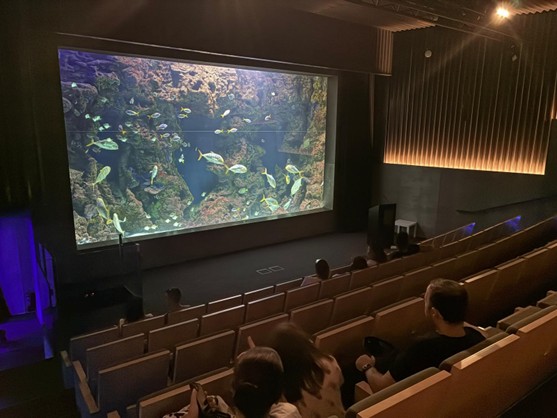 aquarium de san sebastian